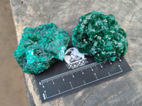 Natural Dioptase Specimens x 6 From Likasi, Congo
