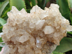 Natural Quartz Clusters x 3 From Madagascar - Toprock Gemstones and Minerals 