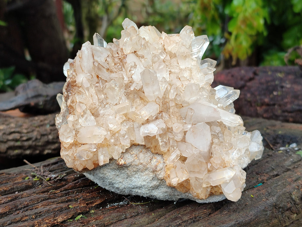Natural Quartz Clusters x 3 From Madagascar - Toprock Gemstones and Minerals 