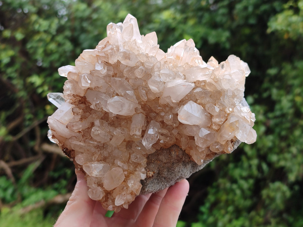 Natural Quartz Clusters x 3 From Madagascar - Toprock Gemstones and Minerals 