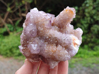Natural Ametrine Spirit Quartz Clusters x 4 From Boekenhouthoek, South Africa - Toprock Gemstones and Minerals 