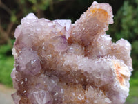 Natural Ametrine Spirit Quartz Clusters x 4 From Boekenhouthoek, South Africa - Toprock Gemstones and Minerals 