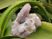 Natural Ametrine Spirit Quartz Clusters x 4 From Boekenhouthoek, South Africa - Toprock Gemstones and Minerals 
