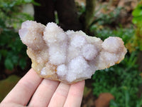 Natural Ametrine Spirit Quartz Clusters x 4 From Boekenhouthoek, South Africa - Toprock Gemstones and Minerals 