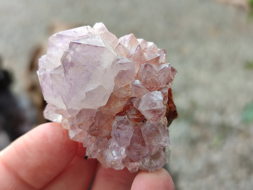 Natural Ametrine Spirit Quartz Crystals x 20 From Boekenhouthoek, South Africa - Toprock Gemstones and Minerals 