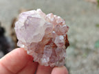 Natural Ametrine Spirit Quartz Crystals x 20 From Boekenhouthoek, South Africa - Toprock Gemstones and Minerals 