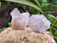 Natural Ametrine Spirit Quartz Crystals x 20 From Boekenhouthoek, South Africa