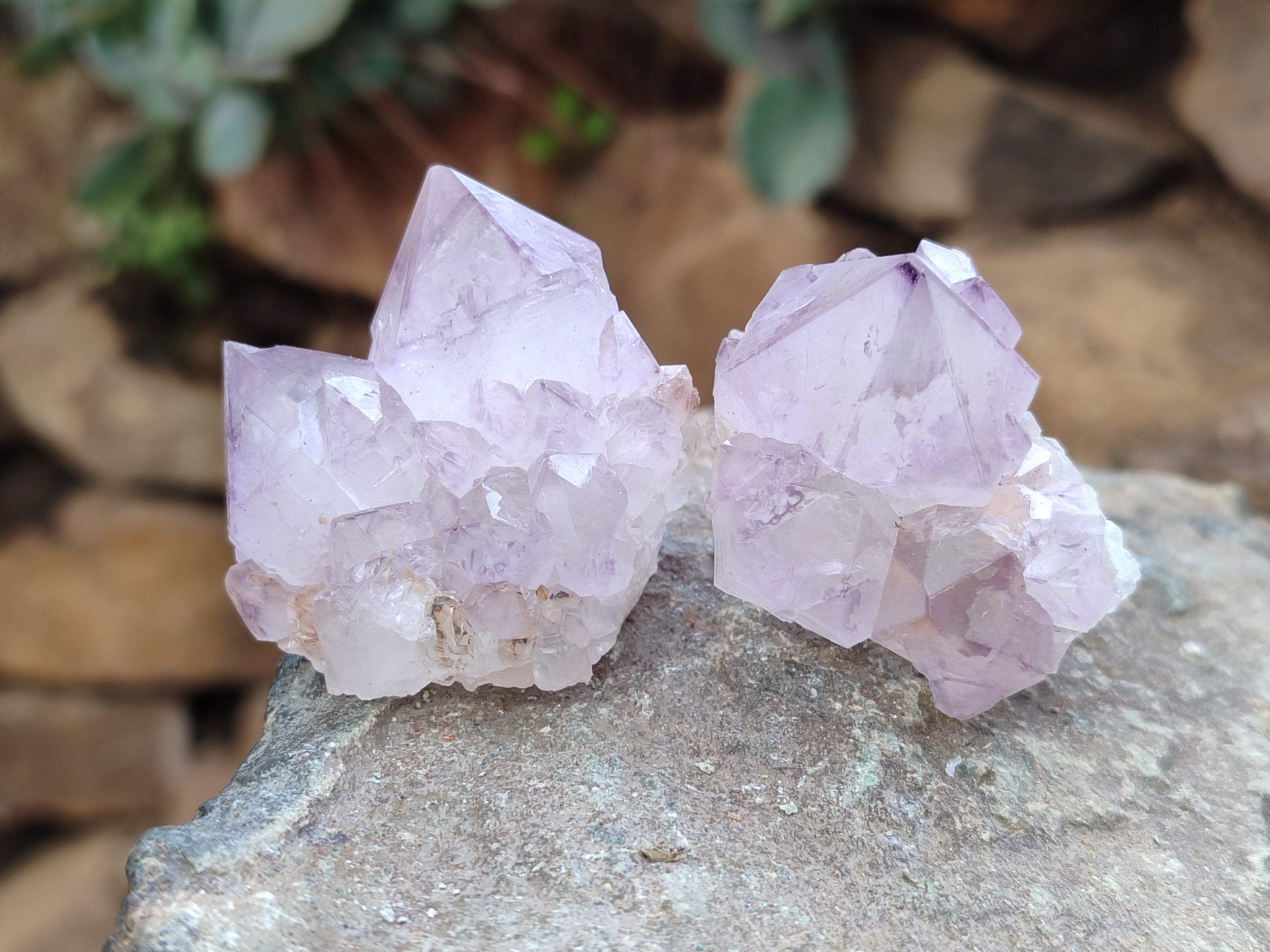 Natural Ametrine Spirit Quartz Crystals x 20 From Boekenhouthoek, South Africa - Toprock Gemstones and Minerals 