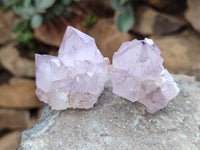 Natural Ametrine Spirit Quartz Crystals x 20 From Boekenhouthoek, South Africa