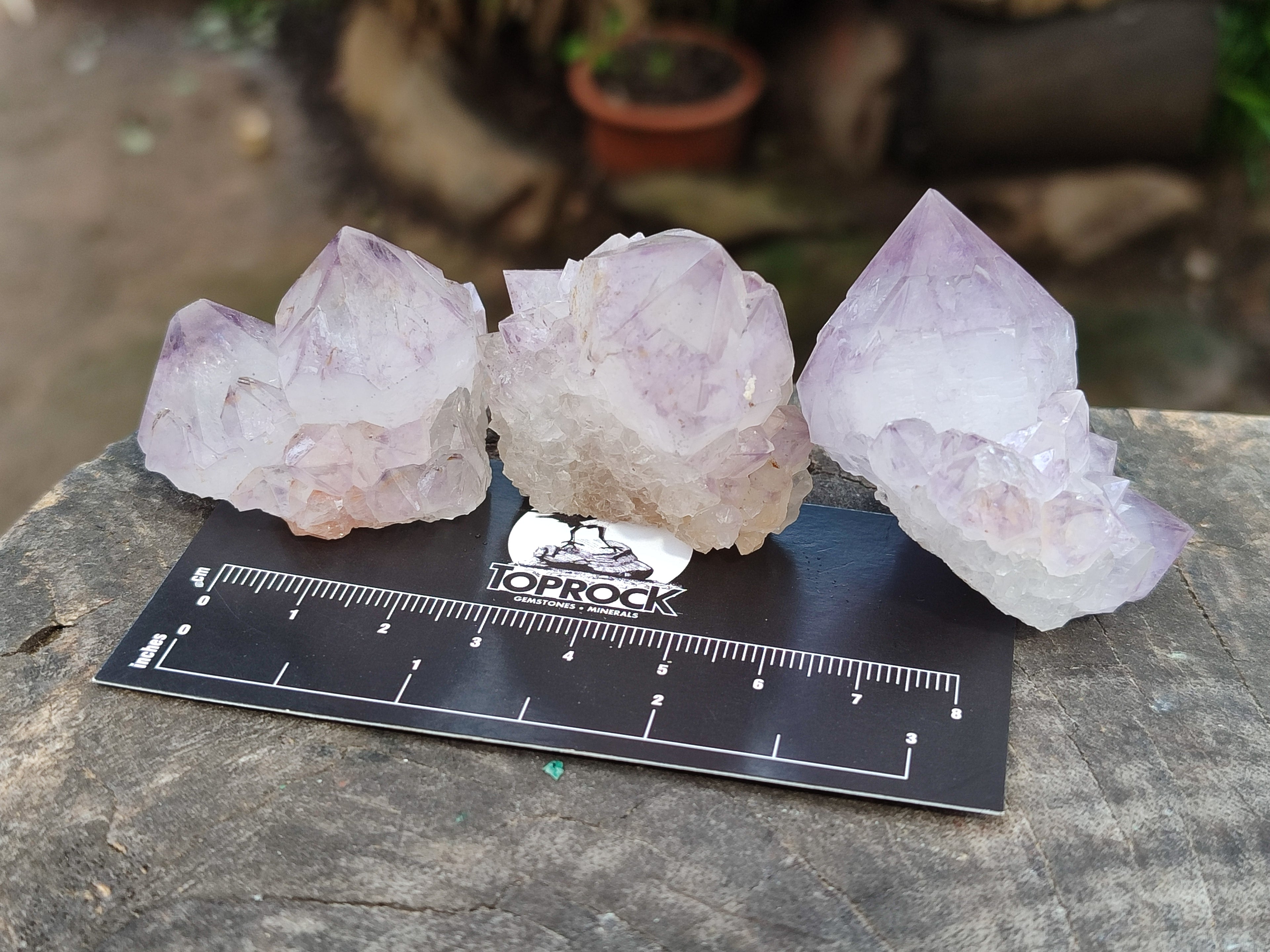 Natural Ametrine Spirit Quartz Crystals x 20 From Boekenhouthoek, South Africa - Toprock Gemstones and Minerals 