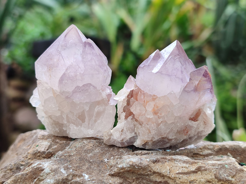 Natural Ametrine Spirit Quartz Crystals x 20 From Boekenhouthoek, South Africa - Toprock Gemstones and Minerals 