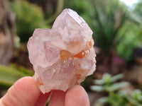 Natural Ametrine Spirit Quartz Crystals x 20 From Boekenhouthoek, South Africa