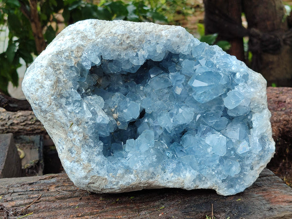 Natural Celestite Geode Specimens x 1 From Sakoany, Madagascar