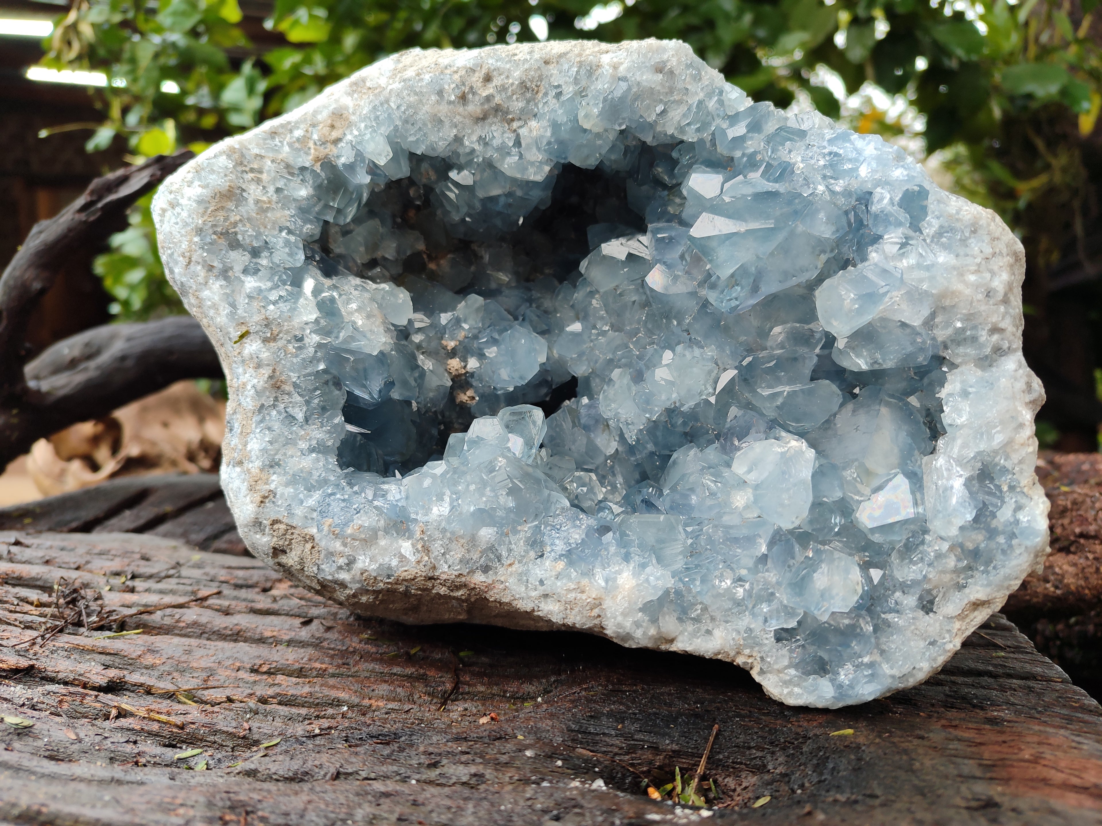 Natural Celestite Geode Specimens x 1 From Sakoany, Madagascar - Toprock Gemstones and Minerals 