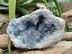 Natural Celestite Geode Specimens x 1 From Sakoany, Madagascar - Toprock Gemstones and Minerals 