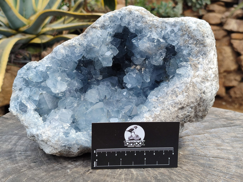 Natural Celestite Geode Specimens x 1 From Sakoany, Madagascar - Toprock Gemstones and Minerals 