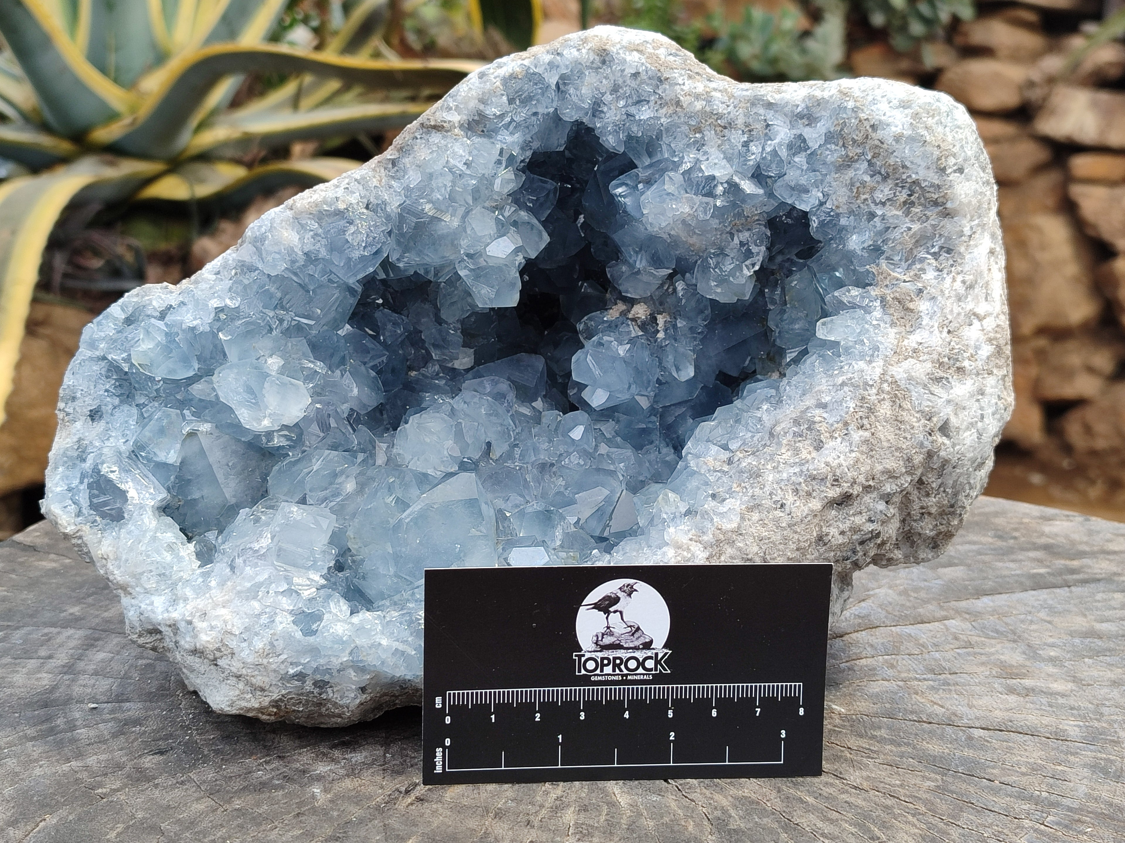 Natural Celestite Geode Specimens x 1 From Sakoany, Madagascar - Toprock Gemstones and Minerals 