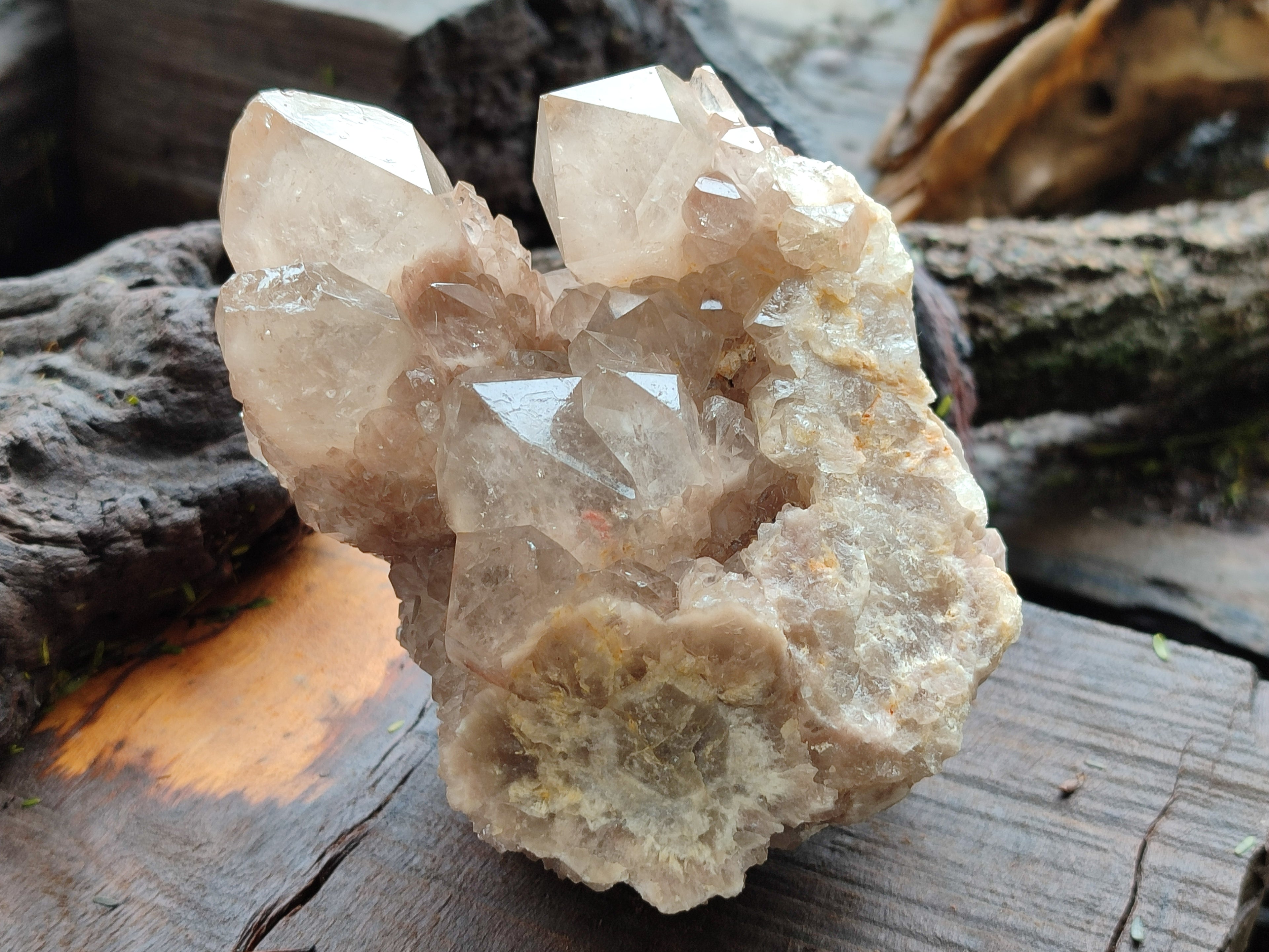Natural Smokey Phantom Quartz Clusters x 2 From Luena, Congo - Toprock Gemstones and Minerals 