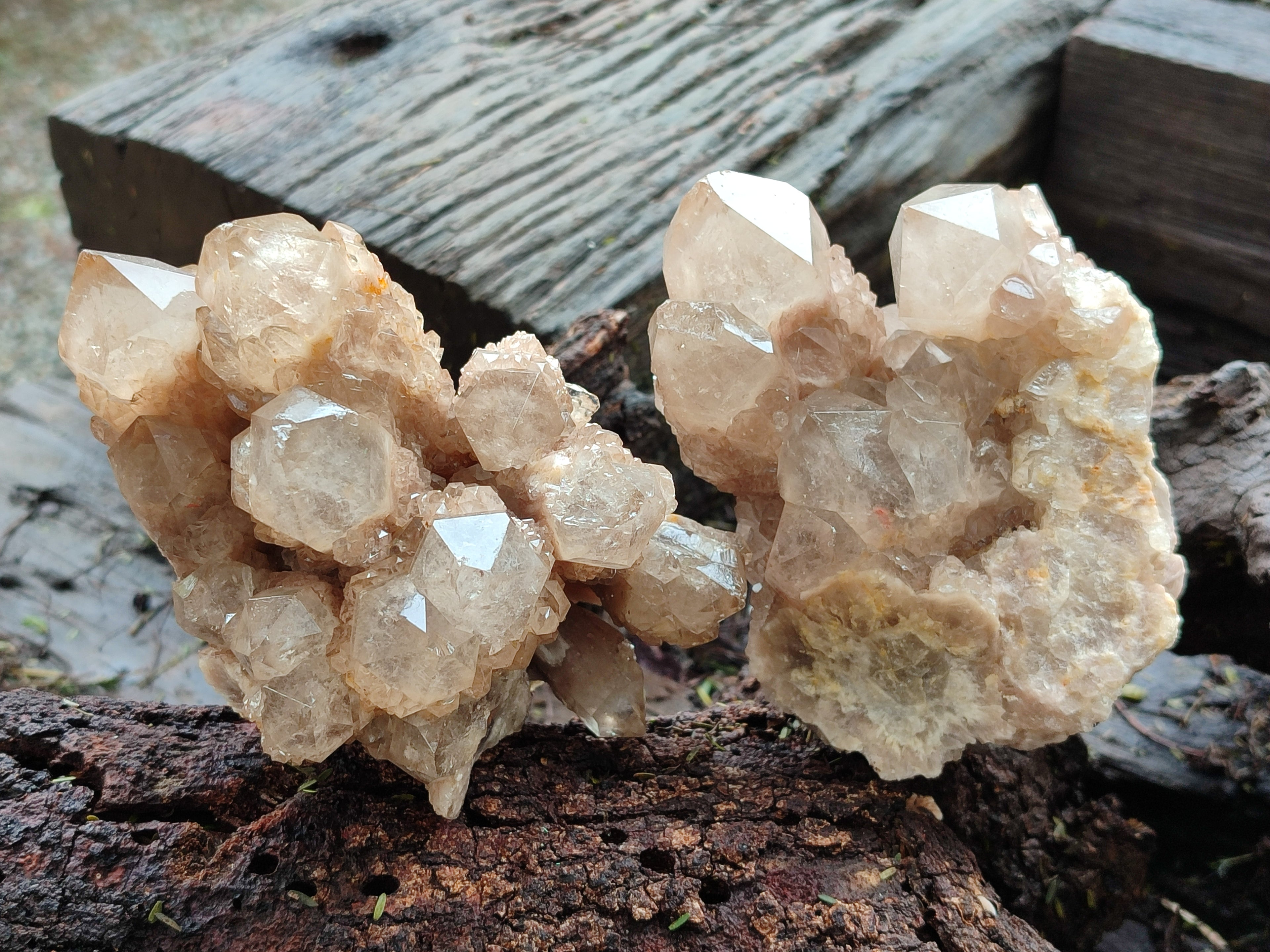 Natural Smokey Phantom Quartz Clusters x 2 From Luena, Congo - Toprock Gemstones and Minerals 