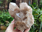 Natural Smokey Phantom Quartz Clusters x 2 From Luena, Congo - Toprock Gemstones and Minerals 