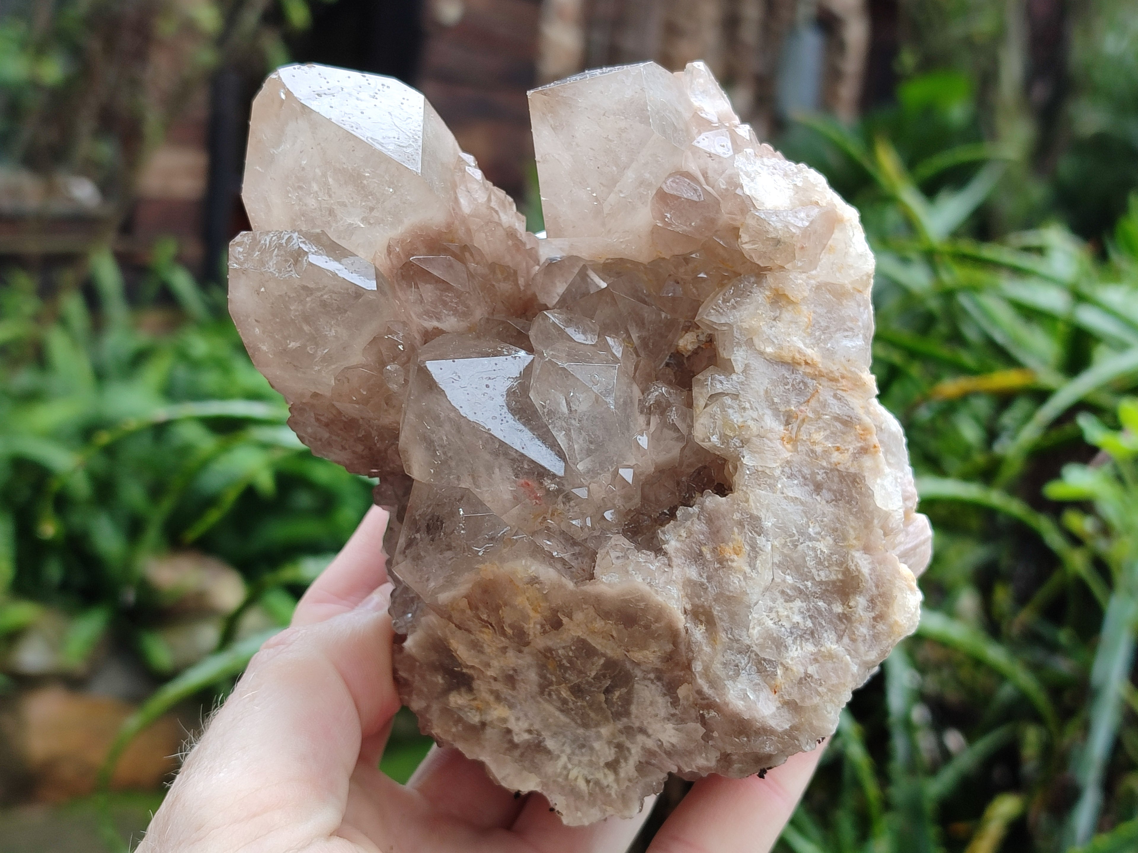 Natural Smokey Phantom Quartz Clusters x 2 From Luena, Congo - Toprock Gemstones and Minerals 