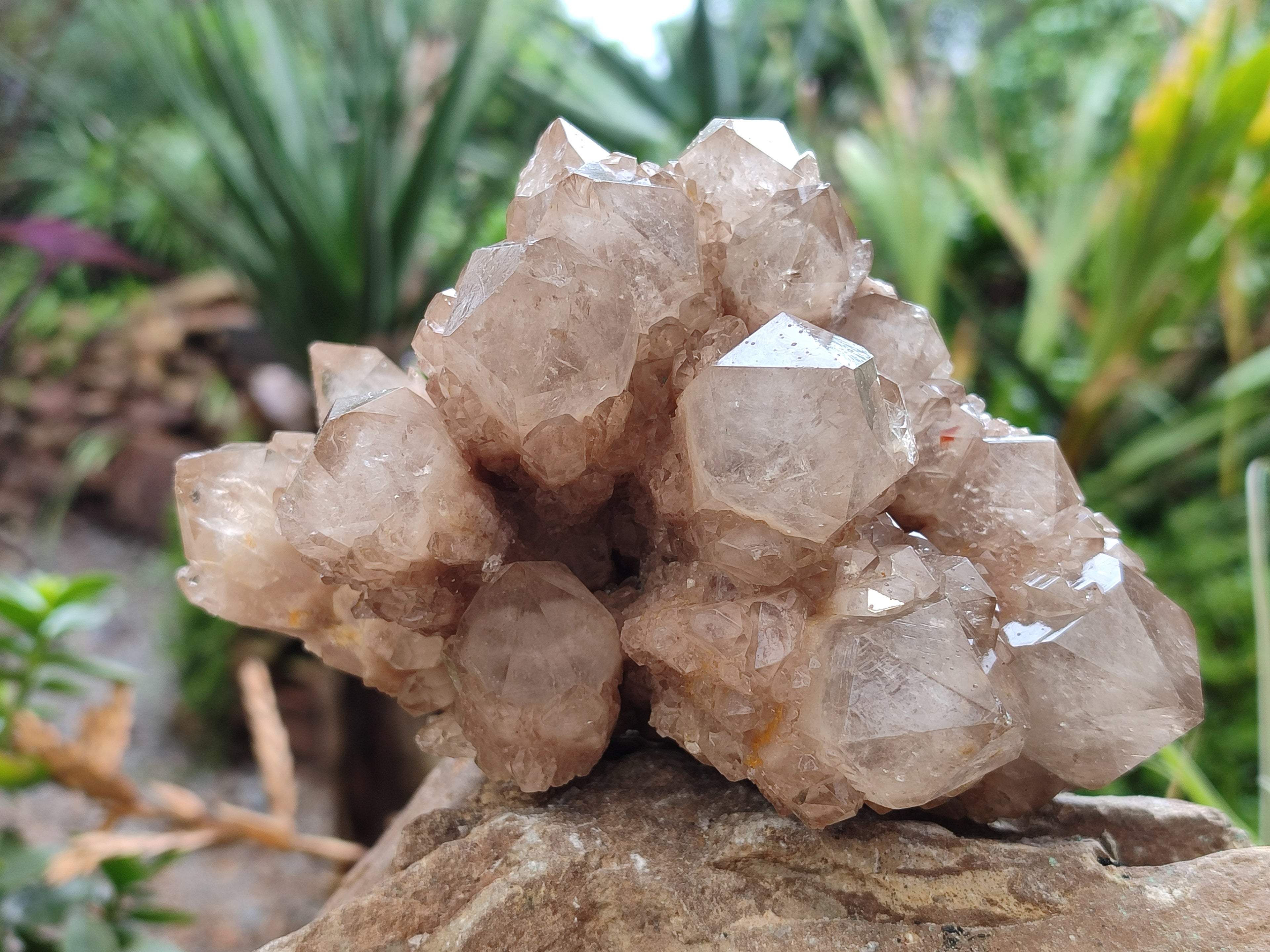 Natural Smokey Phantom Quartz Clusters x 2 From Luena, Congo - Toprock Gemstones and Minerals 