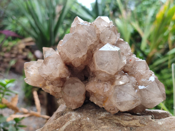 Natural Smokey Phantom Quartz Clusters x 2 From Luena, Congo