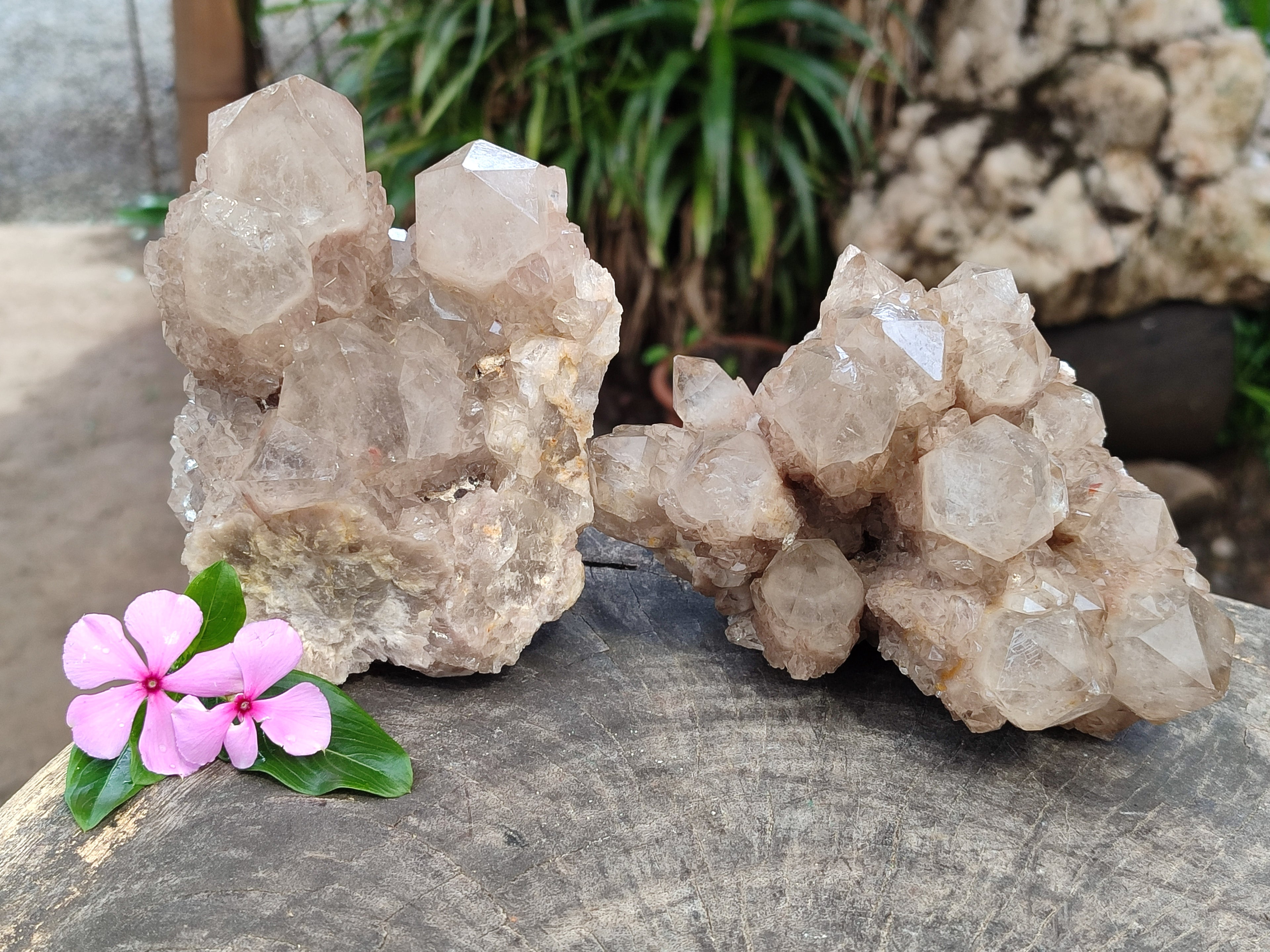 Natural Smokey Phantom Quartz Clusters x 2 From Luena, Congo - Toprock Gemstones and Minerals 