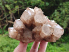 Natural Smokey Phantom Quartz Clusters x 2 From Luena, Congo - Toprock Gemstones and Minerals 
