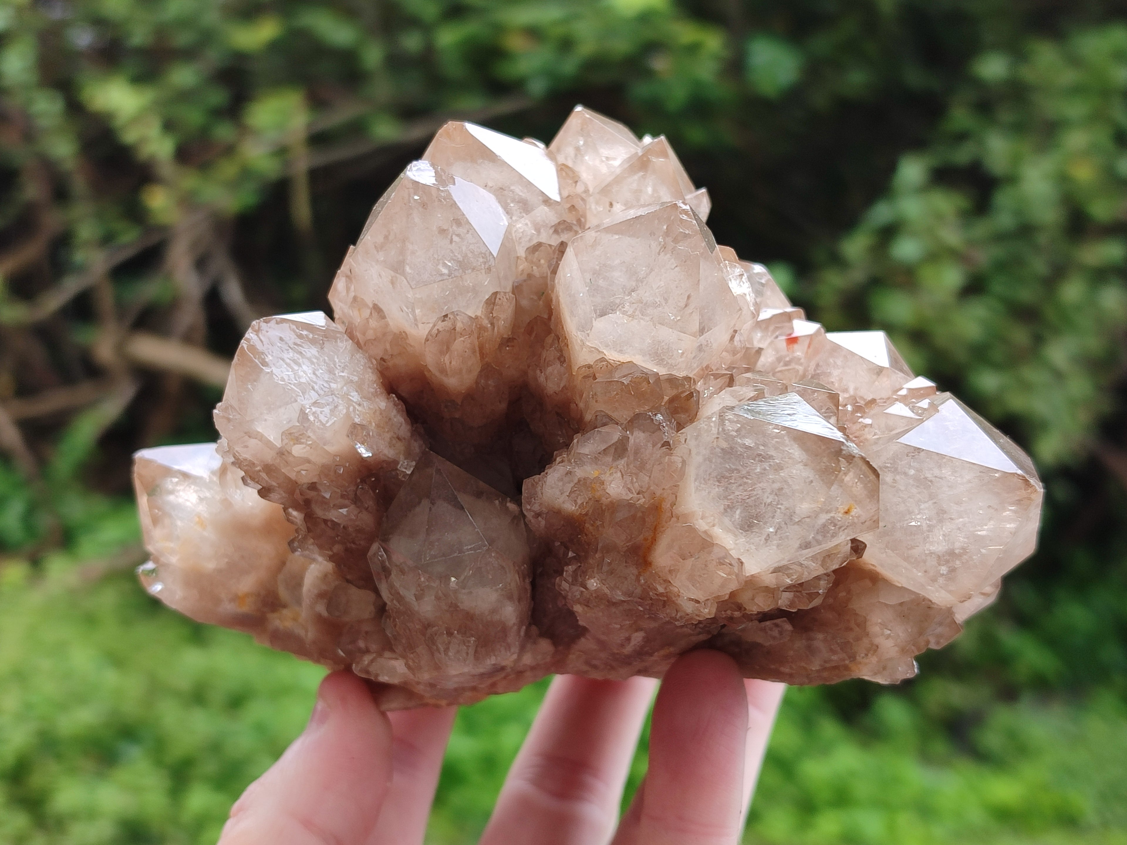 Natural Smokey Phantom Quartz Clusters x 2 From Luena, Congo - Toprock Gemstones and Minerals 