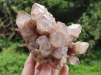 Natural Smokey Phantom Quartz Clusters x 2 From Luena, Congo - Toprock Gemstones and Minerals 
