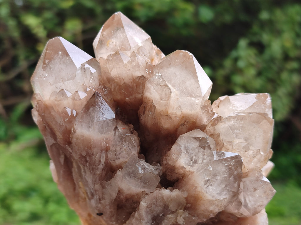 Natural Smokey Phantom Quartz Clusters x 2 From Luena, Congo - Toprock Gemstones and Minerals 