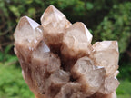 Natural Smokey Phantom Quartz Clusters x 2 From Luena, Congo - Toprock Gemstones and Minerals 