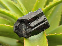 Natural Schorl Black Tourmaline Specimens x 12 From Erongo, Namibia