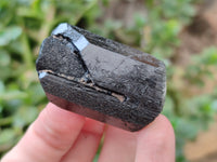 Natural Schorl Black Tourmaline Specimens x 12 From Erongo, Namibia