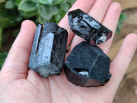 Natural Schorl Black Tourmaline Specimens x 12 From Erongo, Namibia