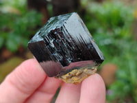 Natural Schorl Black Tourmaline Specimens x 12 From Erongo, Namibia