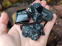 Natural Schorl Black Tourmaline Specimens x 12 From Erongo, Namibia