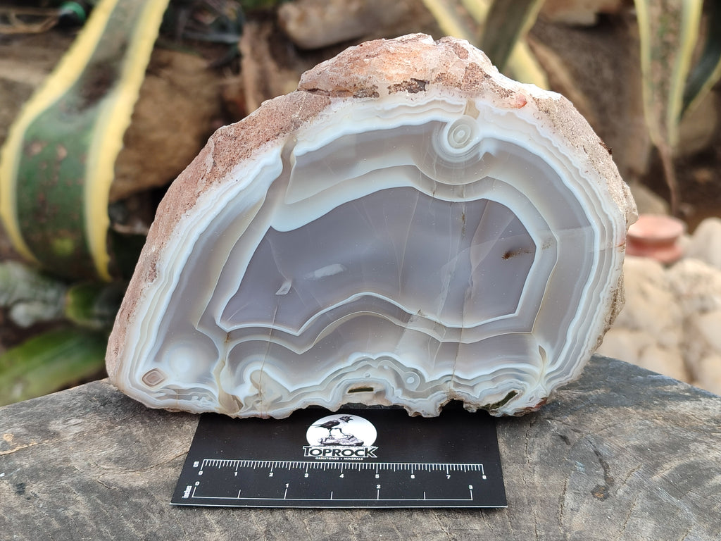 Polished Banded Agate Geode Pairs x 2 Pairs From Madagascar - Toprock Gemstones and Minerals 