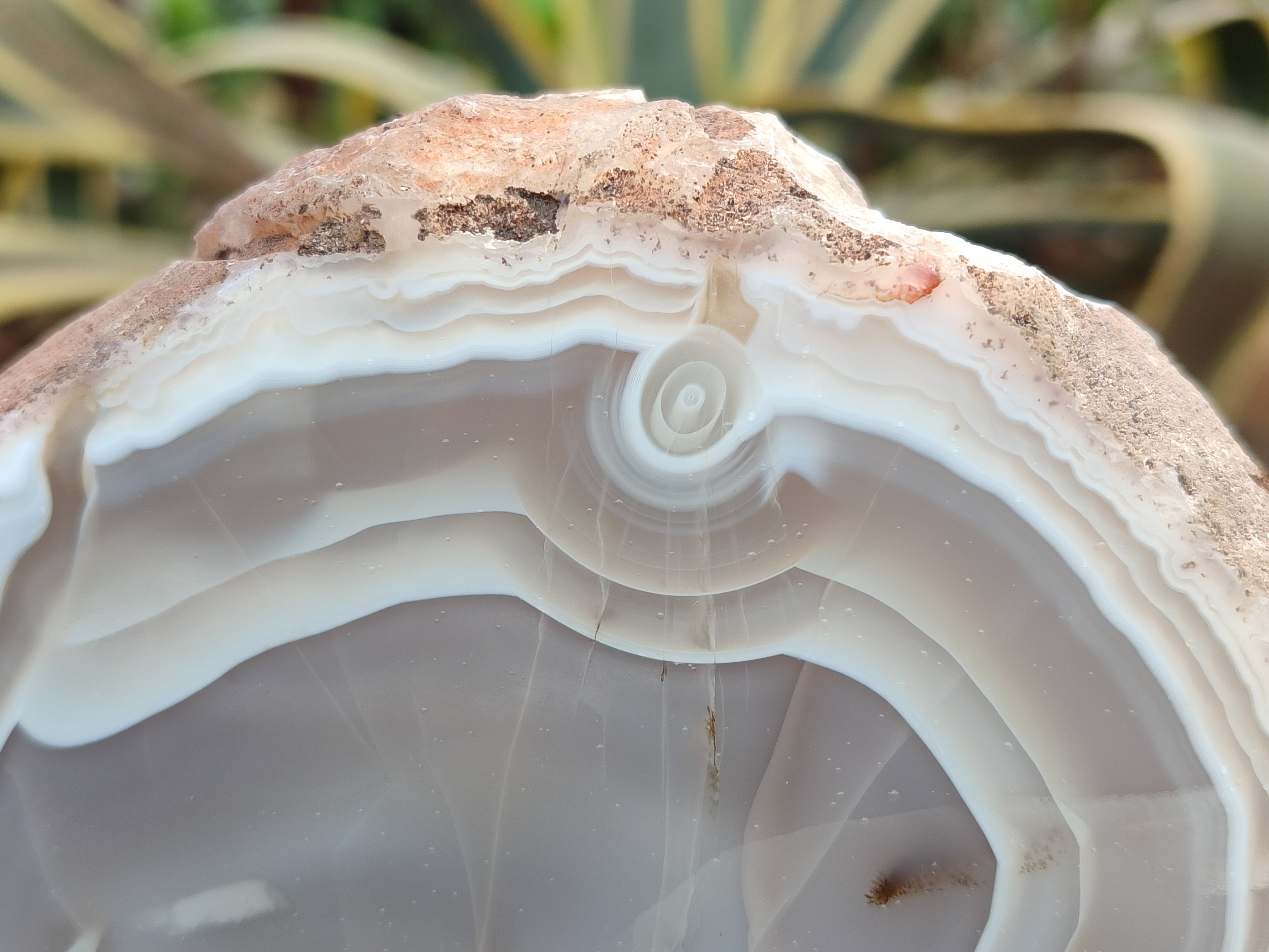 Polished Banded Agate Geode Pairs x 2 Pairs From Madagascar - Toprock Gemstones and Minerals 