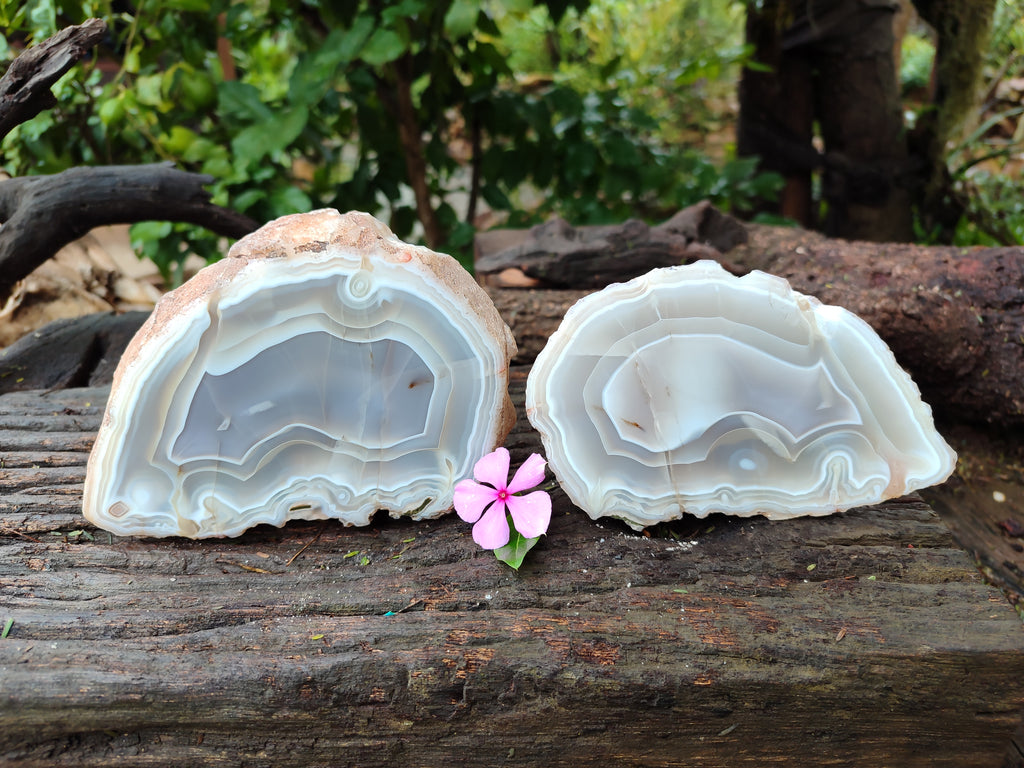 Polished Banded Agate Geode Pairs x 2 Pairs From Madagascar - Toprock Gemstones and Minerals 