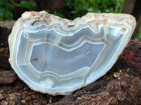 Polished Banded Agate Geode Pairs x 2 Pairs From Madagascar