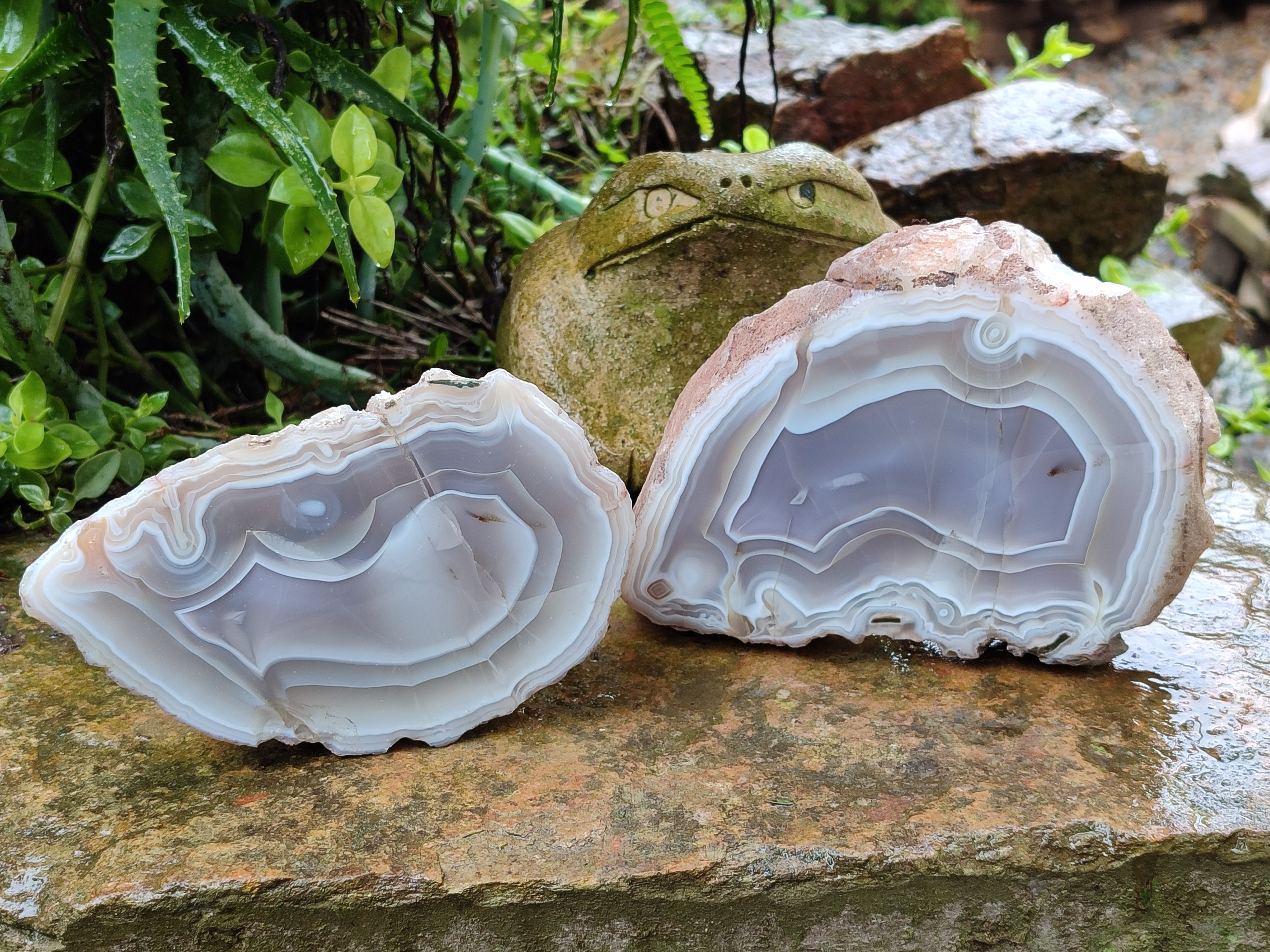 Polished Banded Agate Geode Pairs x 2 Pairs From Madagascar - Toprock Gemstones and Minerals 