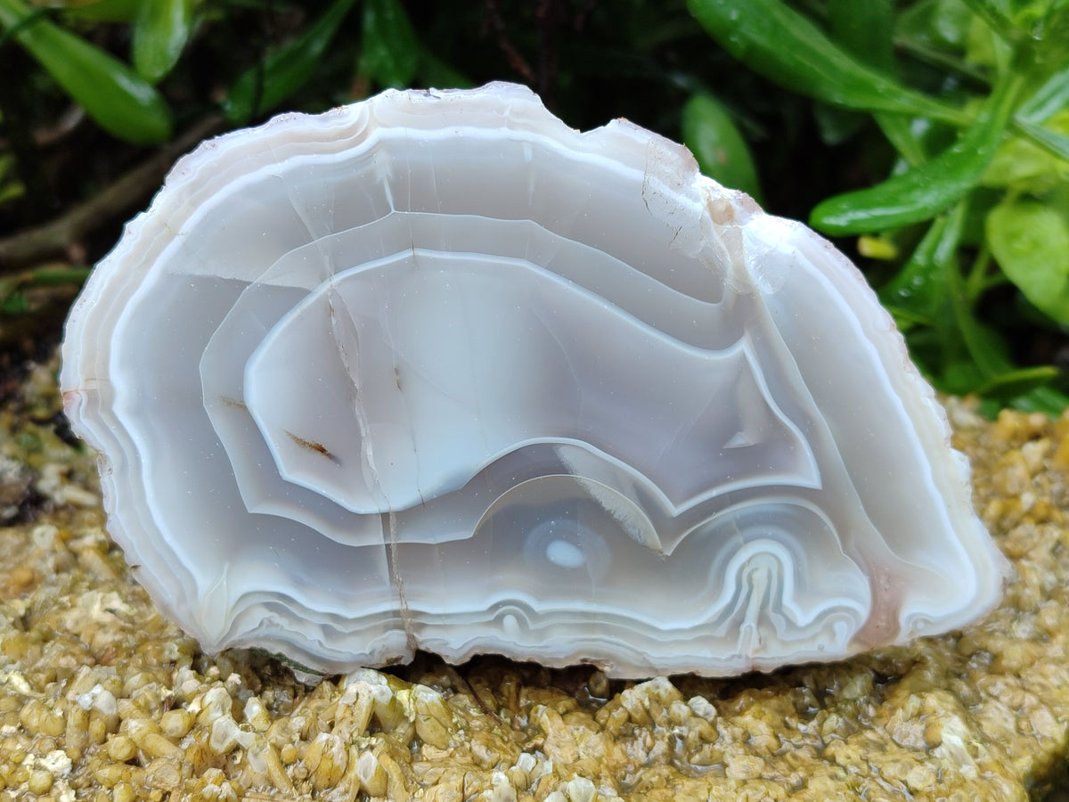 Polished Banded Agate Geode Pairs x 2 Pairs From Madagascar - Toprock Gemstones and Minerals 