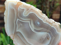 Polished Banded Agate Geode Pairs x 2 Pairs From Madagascar