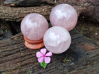 Polished Rose Quartz Spheres x 3 From Ambatondrazaka, Madagascar - Toprock Gemstones and Minerals 