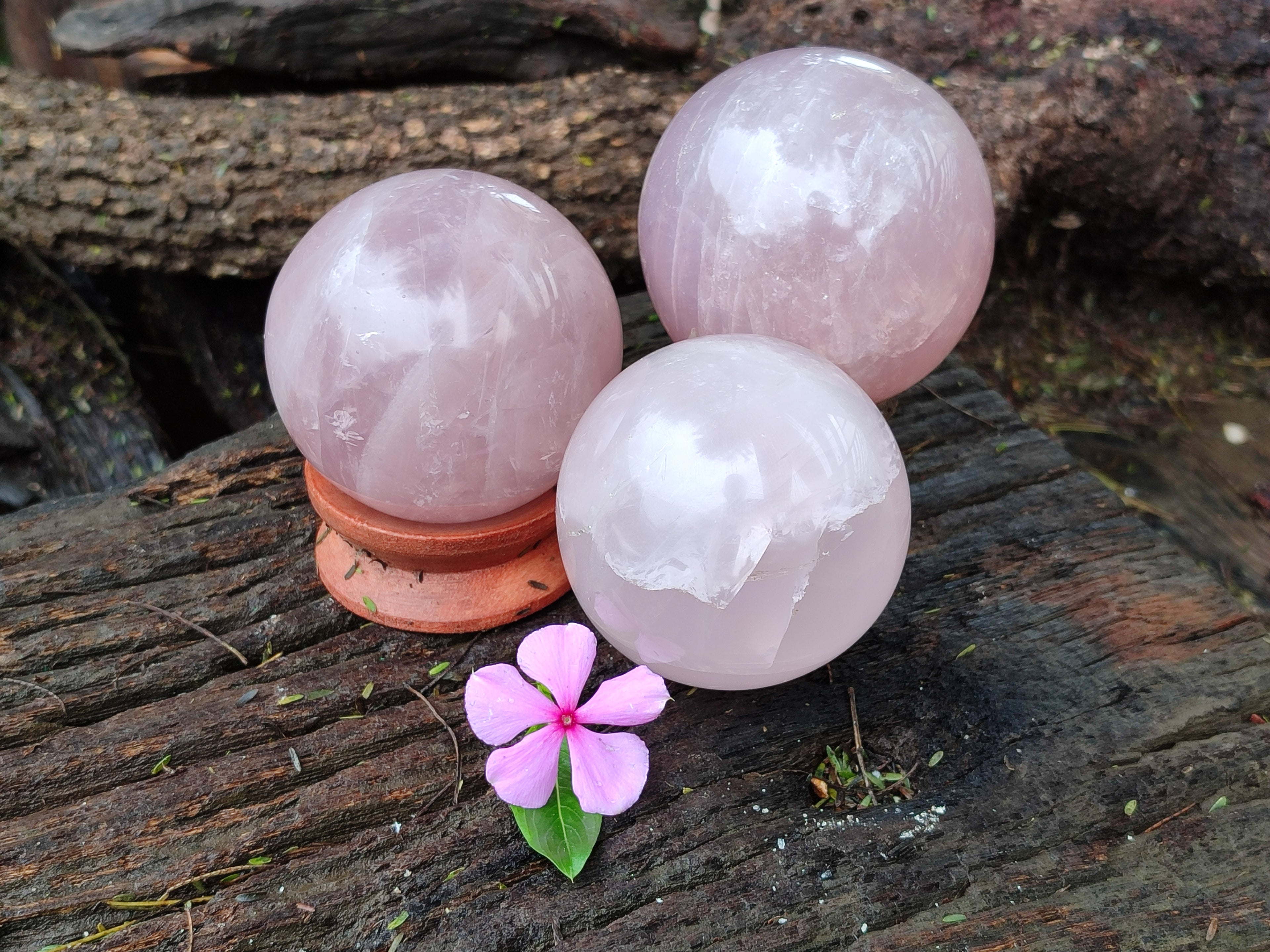 Polished Rose Quartz Spheres x 3 From Ambatondrazaka, Madagascar - Toprock Gemstones and Minerals 