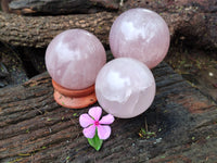 Polished Rose Quartz Spheres x 3 From Ambatondrazaka, Madagascar
