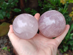 Polished Rose Quartz Spheres x 3 From Ambatondrazaka, Madagascar - Toprock Gemstones and Minerals 