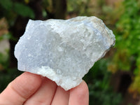 Natural Blue Lace Agate Geode Specimens x 24 From Nsanje, Malawi